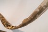 Laratta_Redeemer_25_53