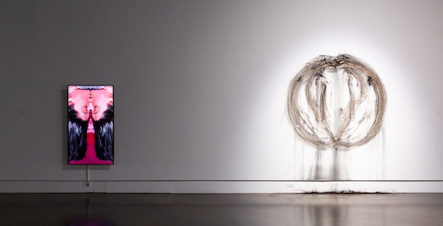 In Search of Wholeness Installation View