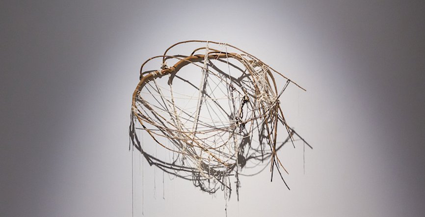 Sociogenome Mulberry tree branch string thread